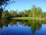 Farm 2009 - the pond