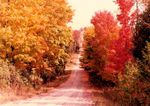 Fall at the farm