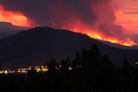 Forest fire