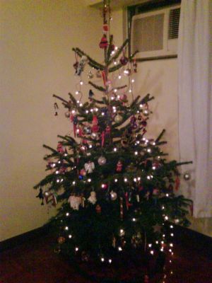 Tree 2009