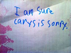 Carys is sorry