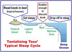 Tess reef sleep