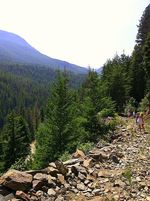 Trail - jul 2012 b