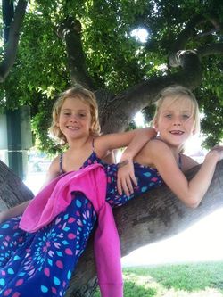 Photo(12)