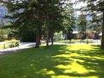 View of lake - jul 2012