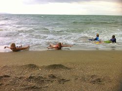 Surf1